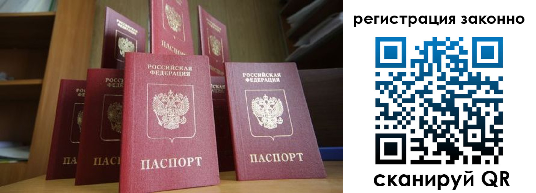 прописка для школы в Дмитрове