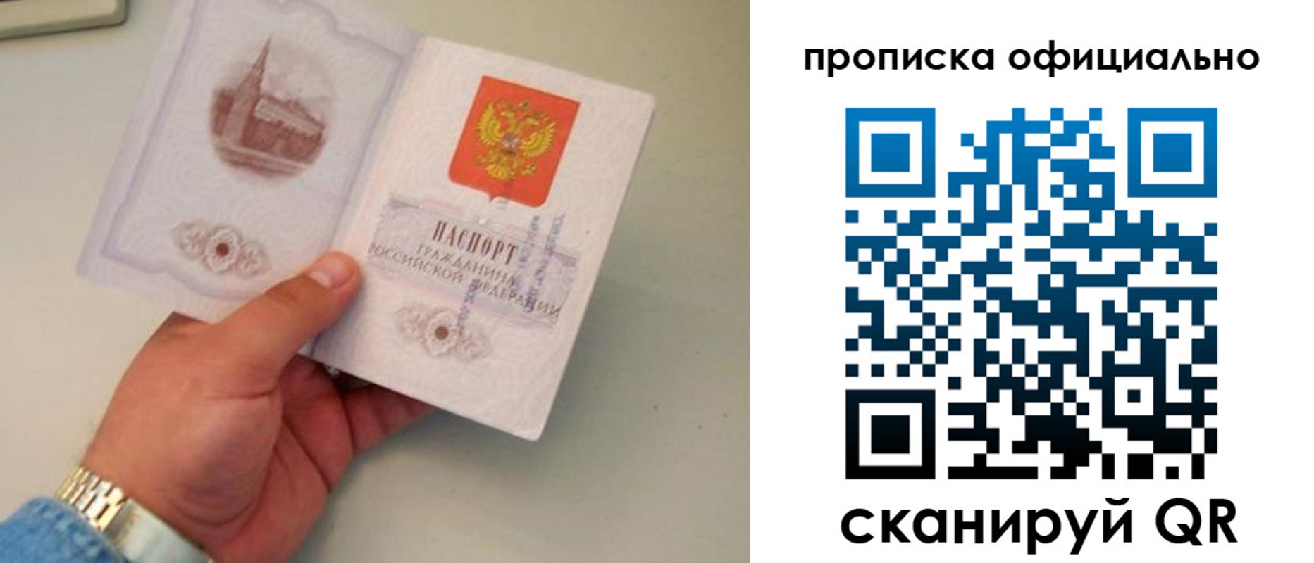 где прописаться в Дмитрове
